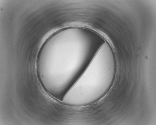 X0000082161288200701190946