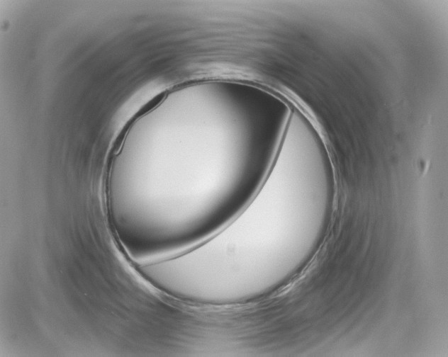 X0000082161293200701190946