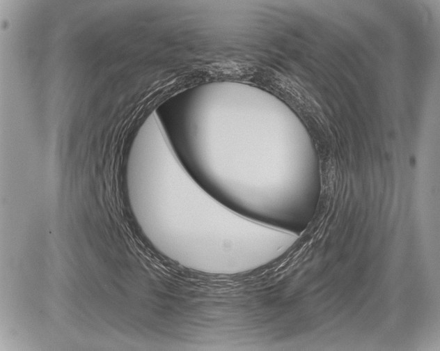 X0000082161297200701190945