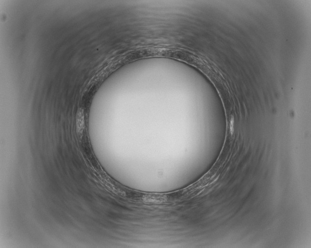 X0000082161299200701190945