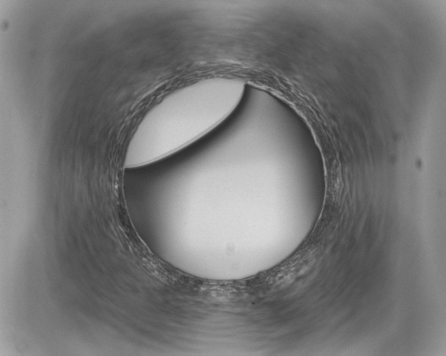 X0000082161301200701190945