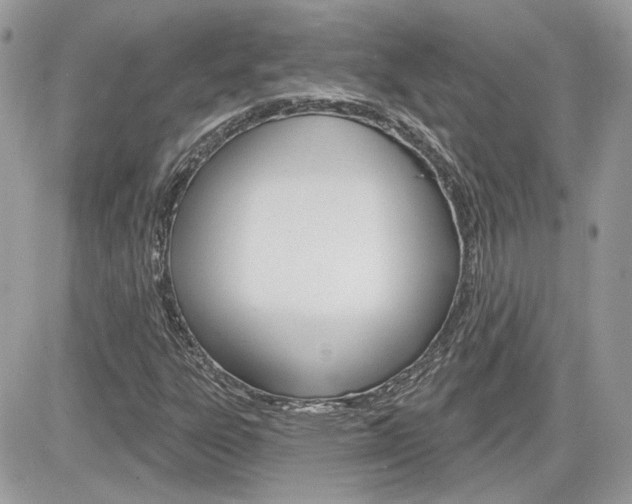 X0000082161303200701190945