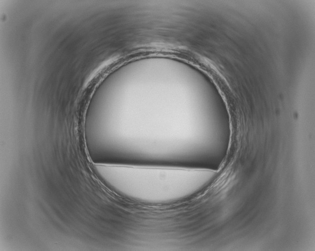 X0000082161307200701190945