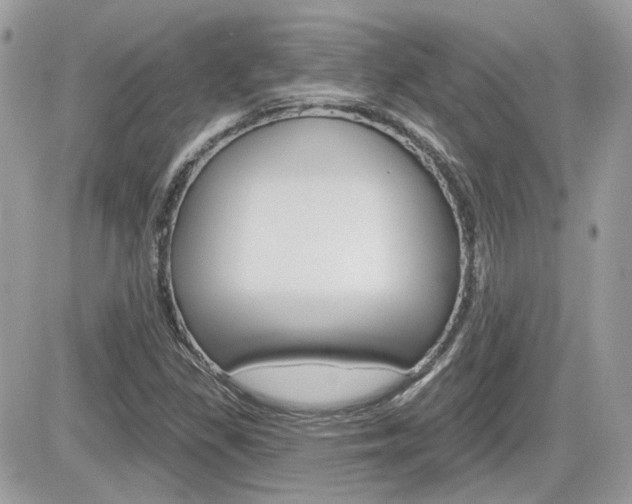 X0000082161309200701190945