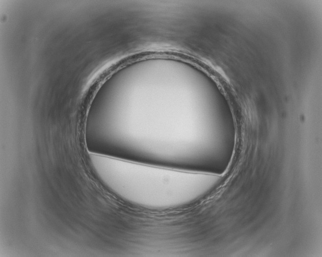 X0000082161311200701190945