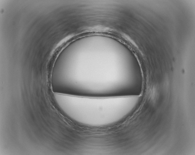 X0000082161315200701190945