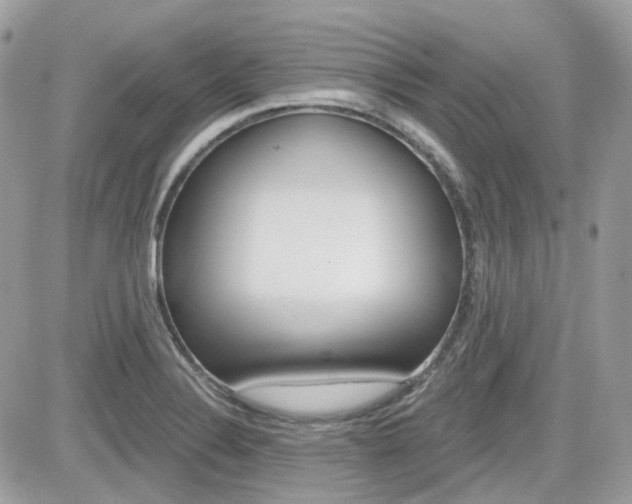 X0000082161324200701190946