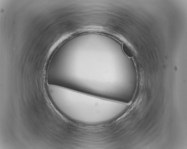 X0000082161325200701190946