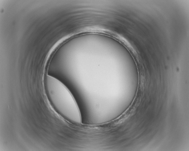X0000082161331200701190946
