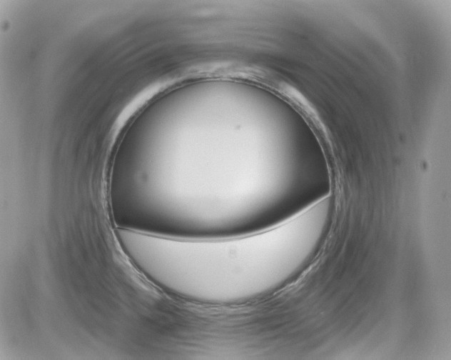 X0000082161336200701190946