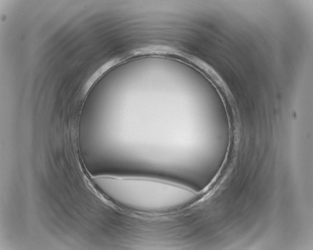 X0000082161337200701190946