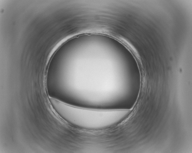 X0000082161340200701190946