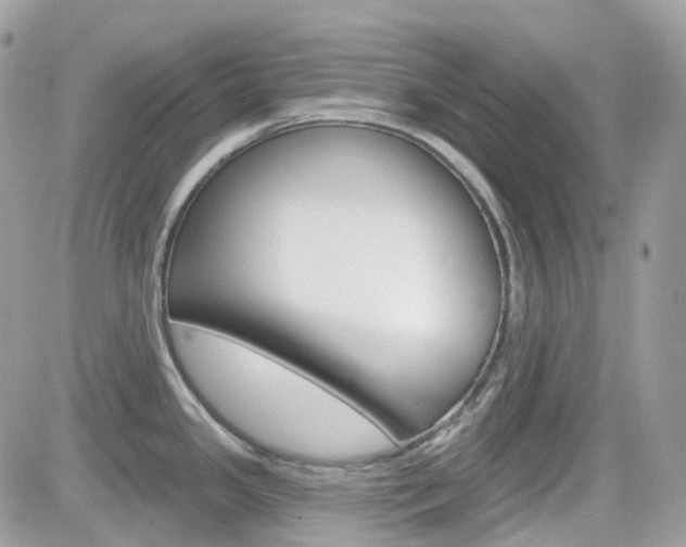 X0000082161341200701190946