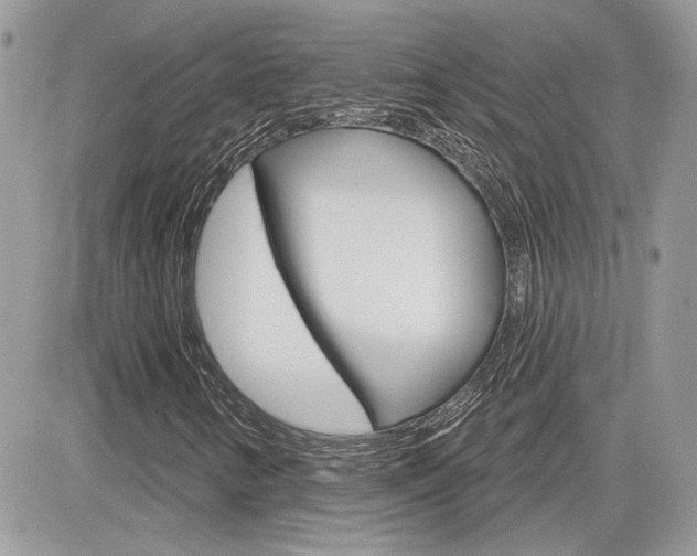 X0000082161346200701190945