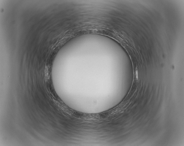 X0000082161347200701190945