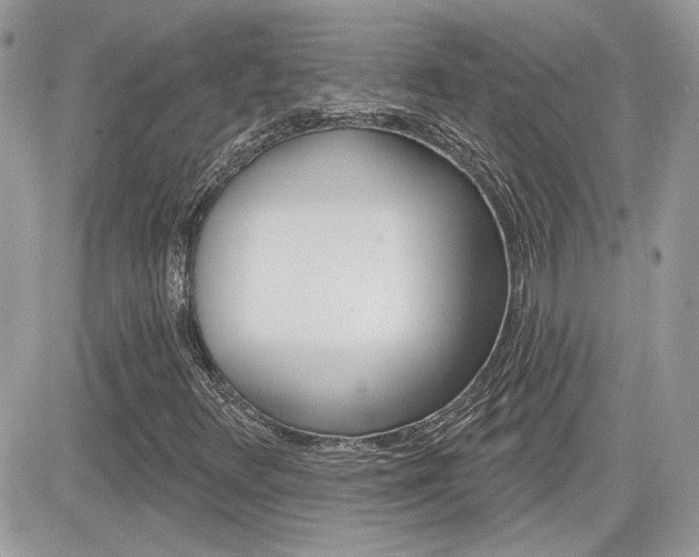 X0000082161348200701190945
