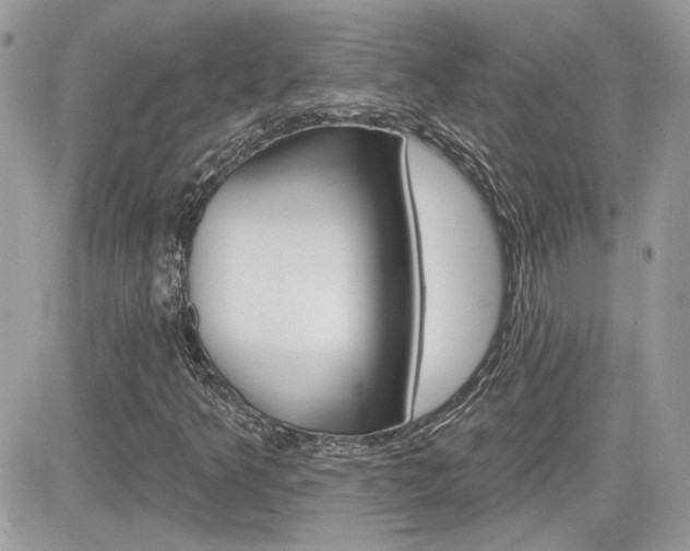 X0000082161349200701190945