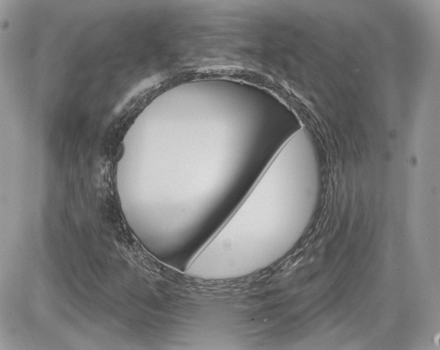 X0000082161351200701190945