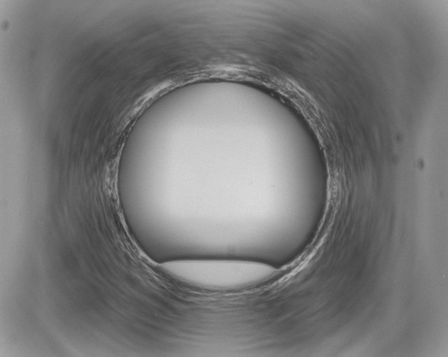 X0000082161353200701190945