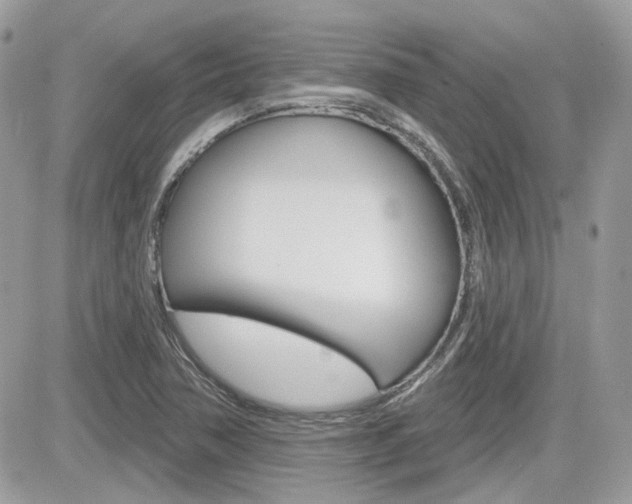 X0000082161362200701190945