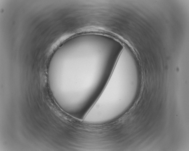 X0000082161363200701190945