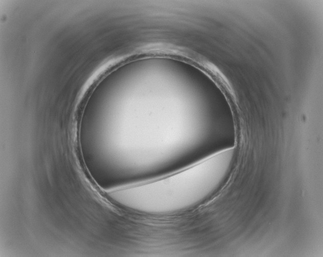 X0000082161376200701190945