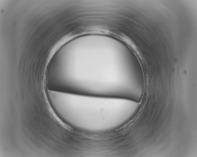 X0000082161379200701190945
