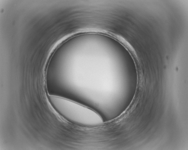 X0000082161380200701190945