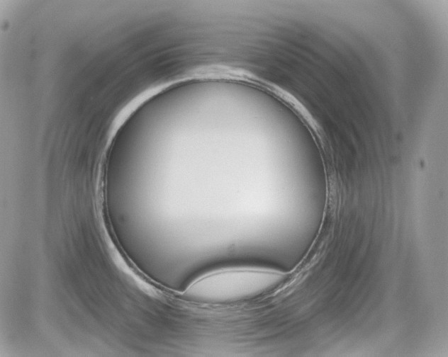 X0000082161387200701190944