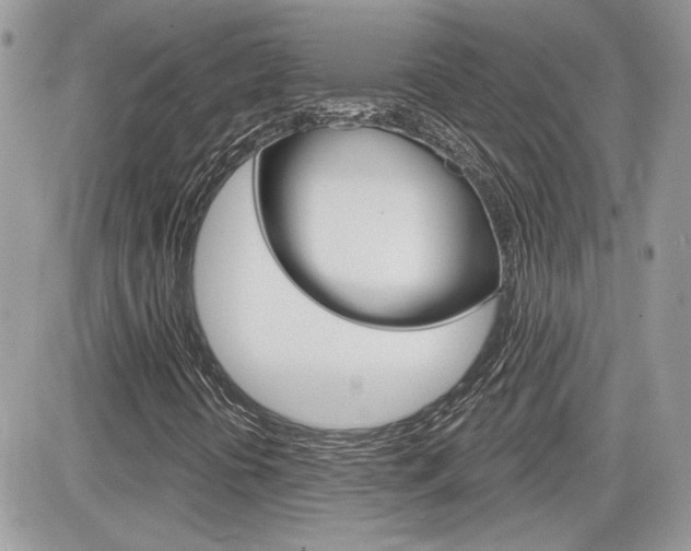 X0000082161394200701190944