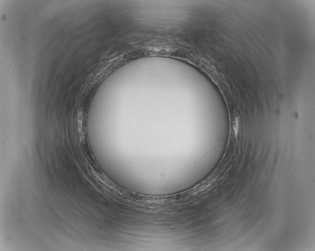 X0000082161396200701190944
