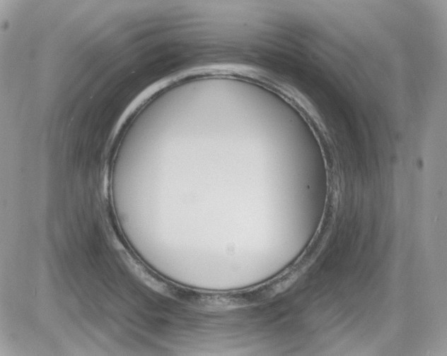X0000082161420200701190944