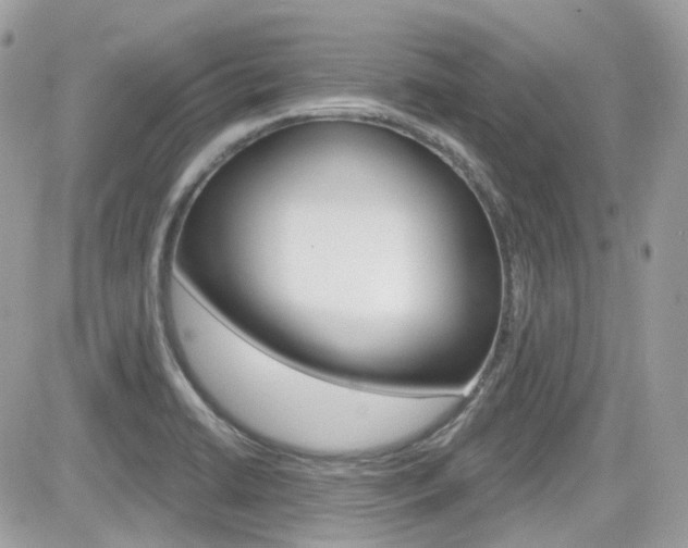 X0000082161422200701190944