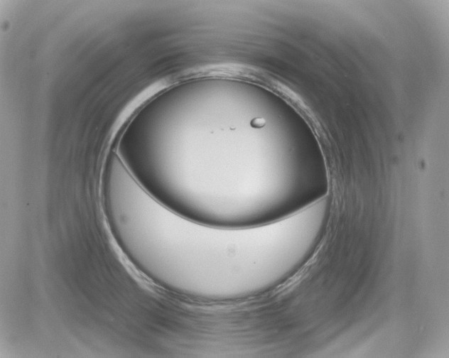 X0000082161426200701190944