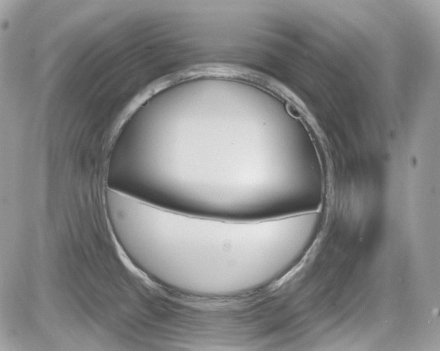 X0000082161433200701190944