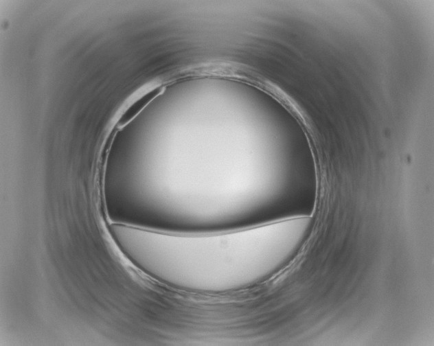 X0000082161434200701190944