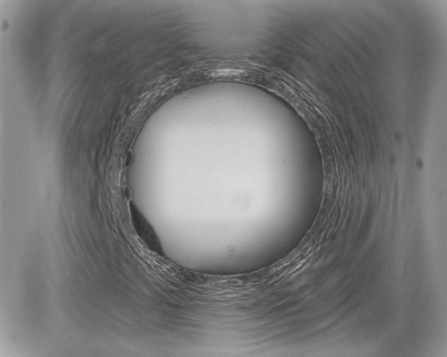 X0000082161441200701190944