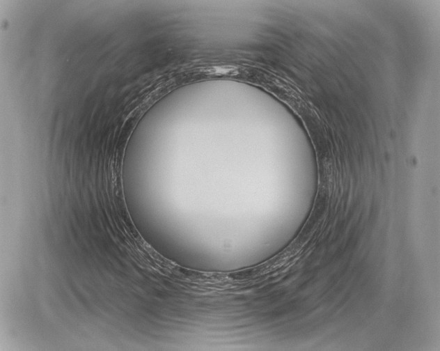 X0000082161442200701190944