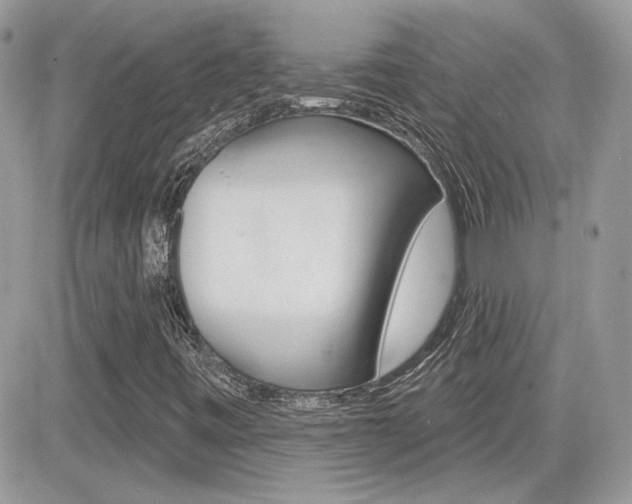 X0000082161443200701190944