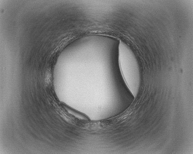X0000082161444200701190944