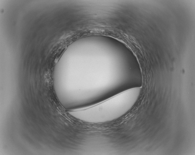 X0000082161445200701190944