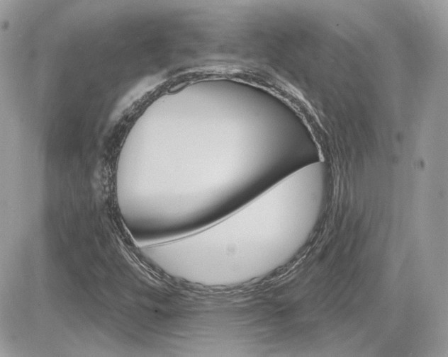 X0000082161448200701190944