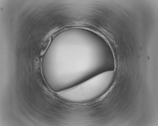X0000082161449200701190943
