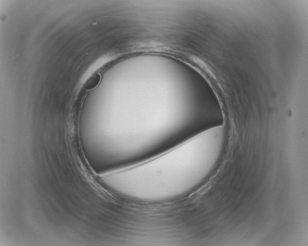 X0000082161458200701190943