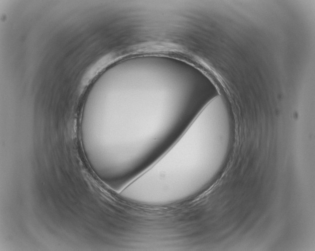 X0000082161459200701190943