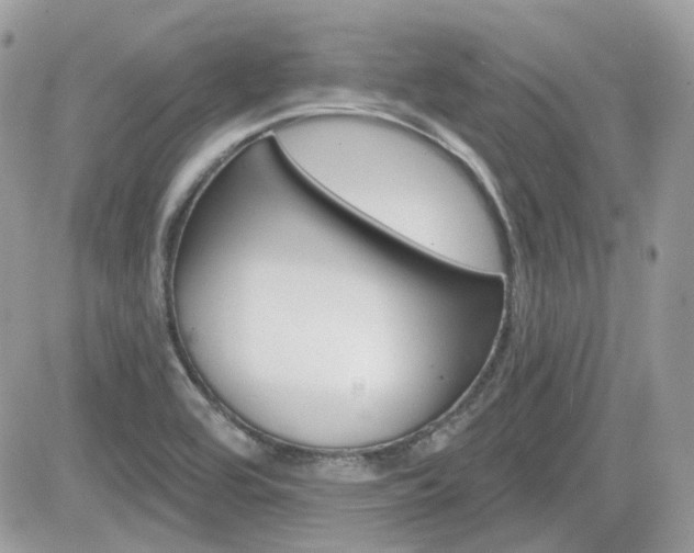 X0000082161464200701190943