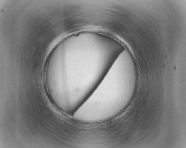 X0000082161467200701190943