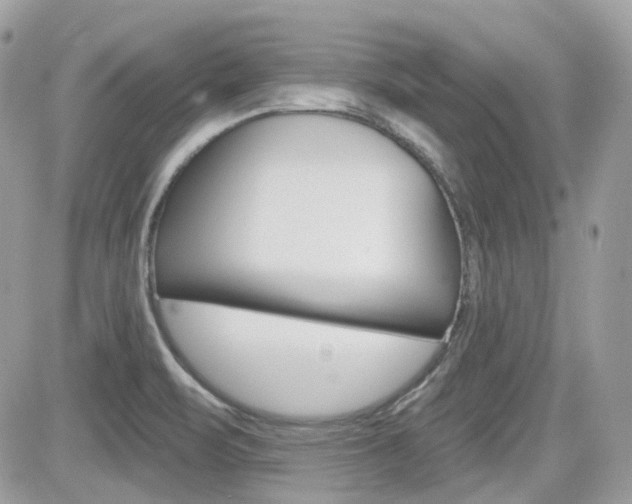 X0000082161471200701190943