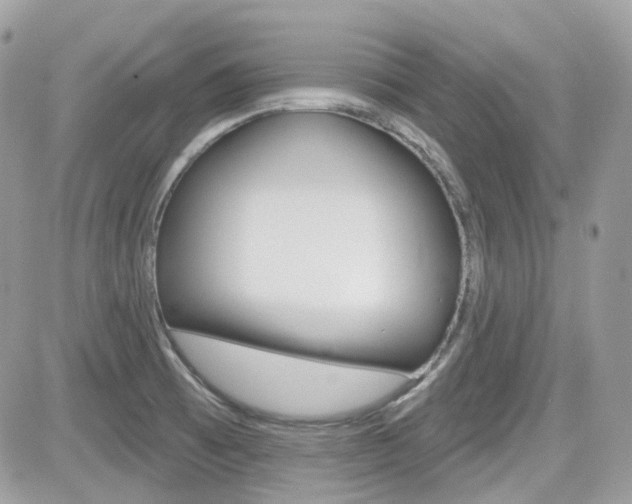 X0000082161473200701190943