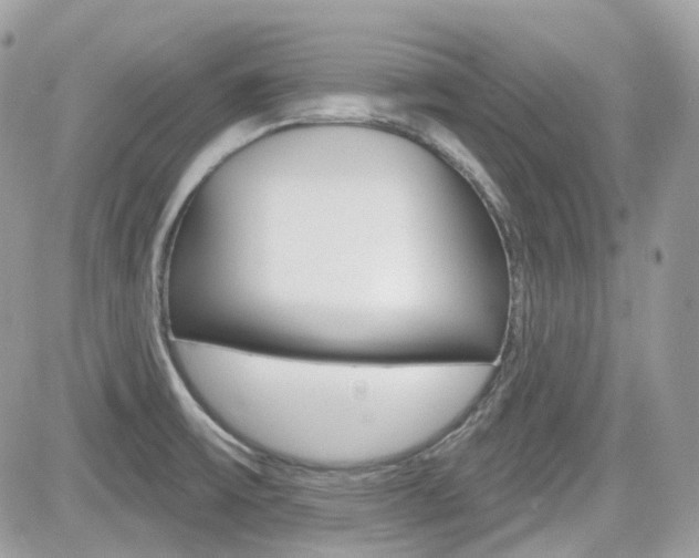 X0000082161475200701190943